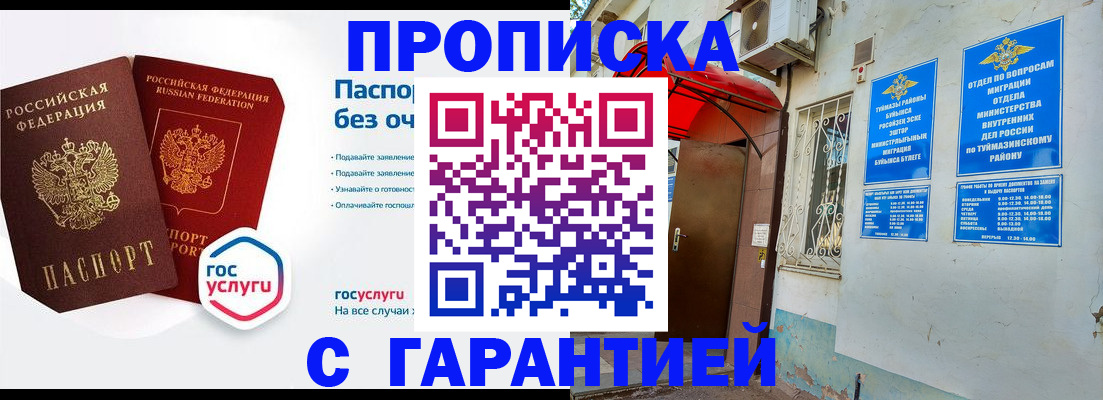 прописка законно в Кольчугино